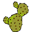 kaktus.gif